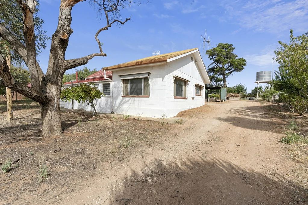 Renmark 3ਬੈੱਡਰੂਮ Rural Living Opportunity!