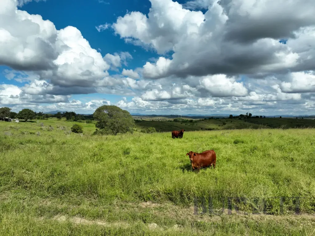 31791 Bruce Highway, Booyal, QLD 4671