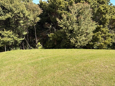 34 Taranga Road, Langs Beach, Whangarei, 0 Bedrooms, 0 Bathrooms, Section