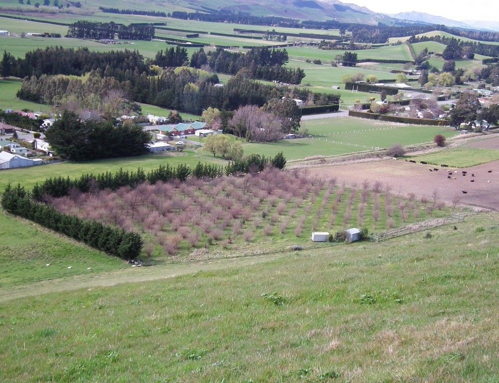 Littles Drive, Waikari, Hurunui, 0房, 0浴