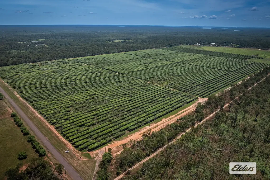 1070 Livingstone Road, Berry Springs, NT 838