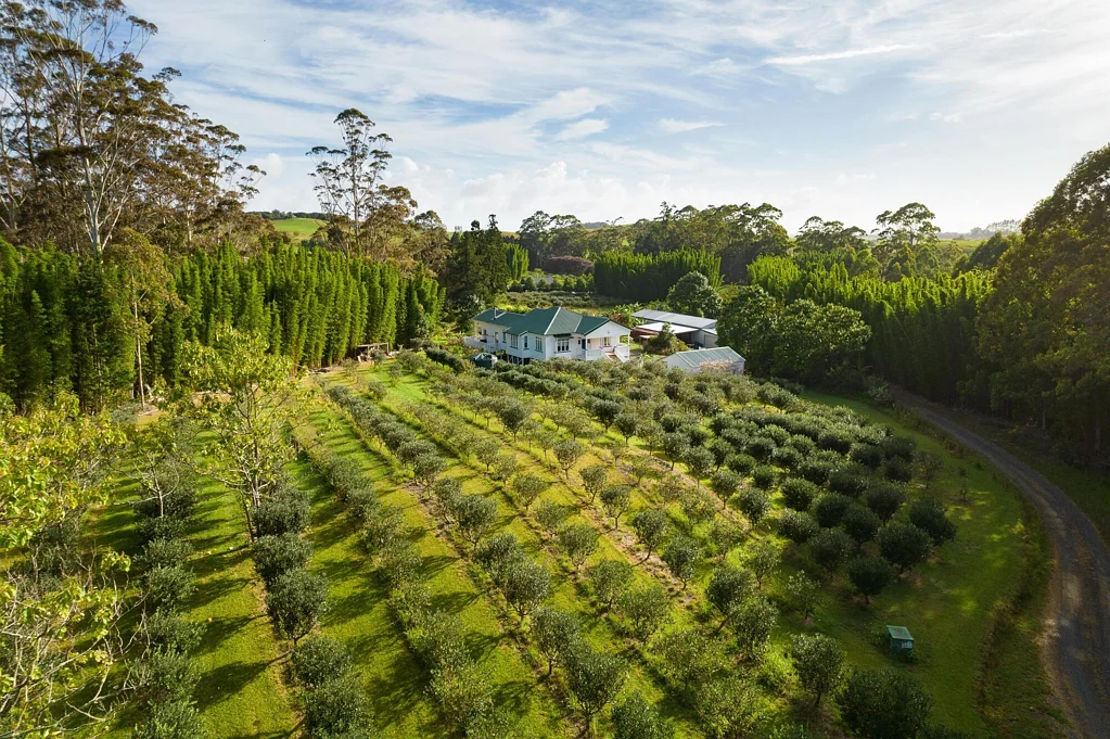 Kerikeri 3房  Big price drop, vendors must sell!