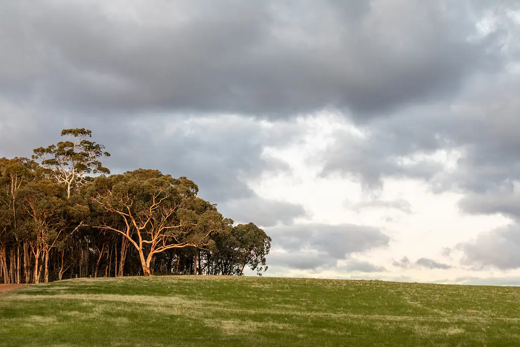 LOT 631 Malvi Close, Lower Chittering, WA 6084