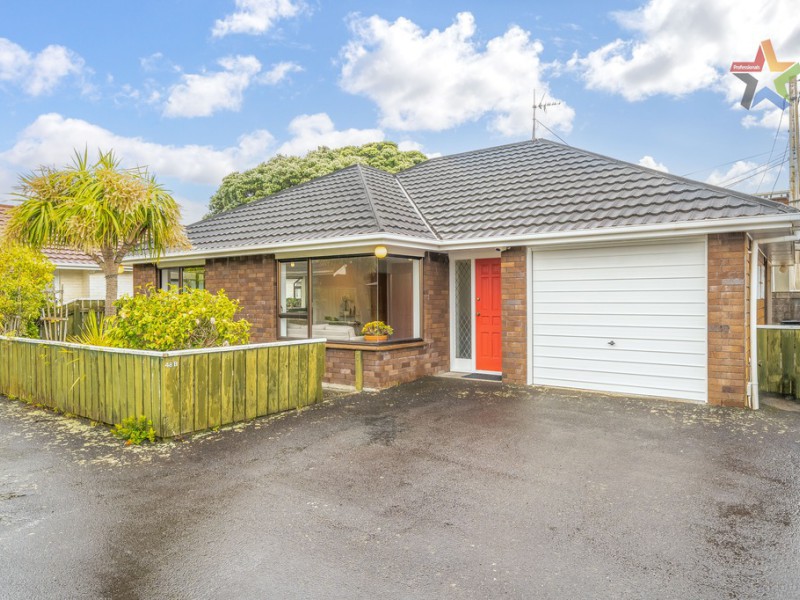 48b Britannia Street, Petone