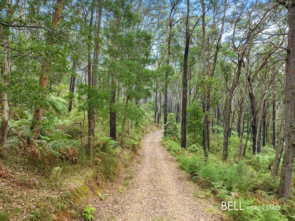 Castella Over 10 Acres Of Bushland Abundance!