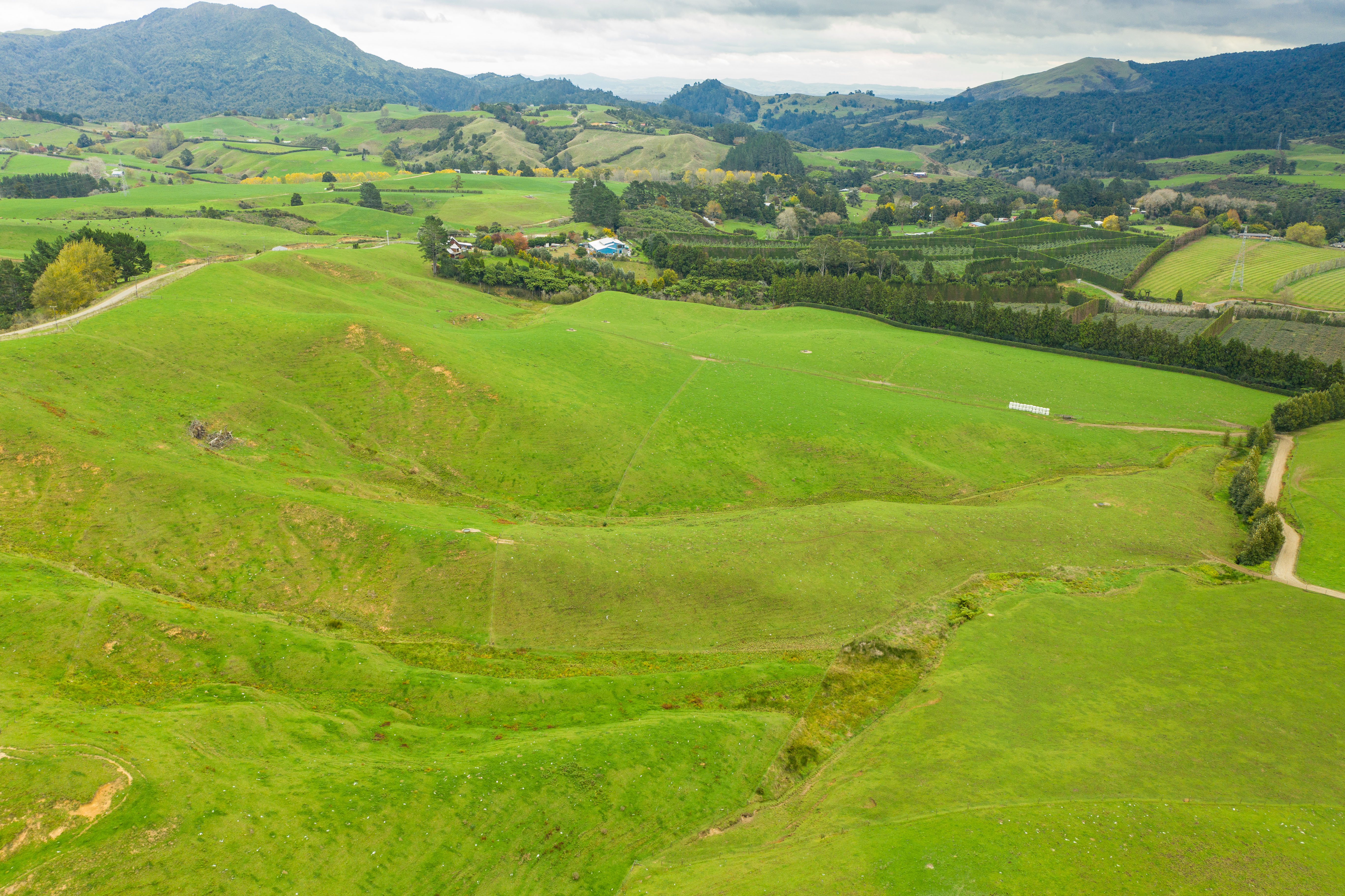 206 Pukekauri Road, Waikino, Hauraki, 0 침실, 0 욕실, Dairy