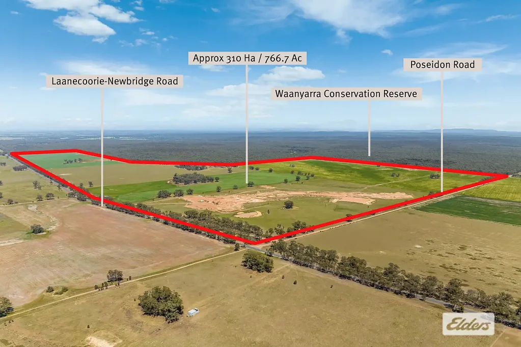 Newbridge Approx 310 Hectares / 766.7 Acres - Cropping and Grazing