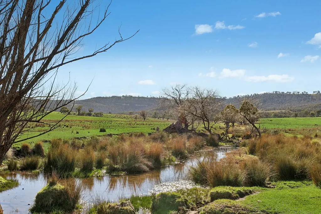 Running Stream "Melrose" – 924 Acres of Rural Opportunity