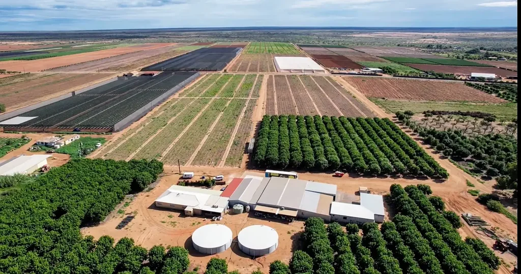 North Plantations  Enjoy a peaceful location with income