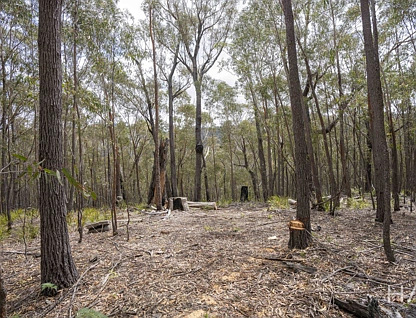 301 Gardiners Creek Road, St Marys, Launceston and North East, 0 Kuwarto, 0 Banyo, Section