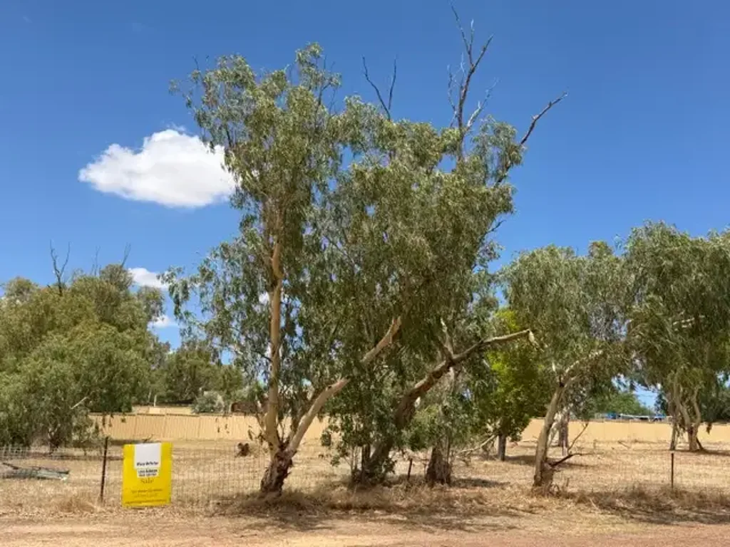 28 Midlands Road, Mingenew, WA 6522