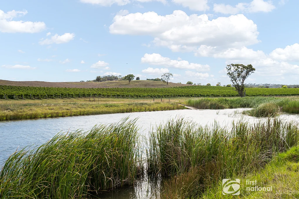 Gulgong RENOWNED ORGANIC VINEYARD + FANTASTIC HOMESITES !