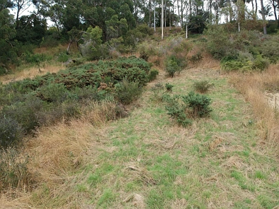39 Fleet Street, Oamaru, Waitaki, Otago, 0房, 0浴, Section