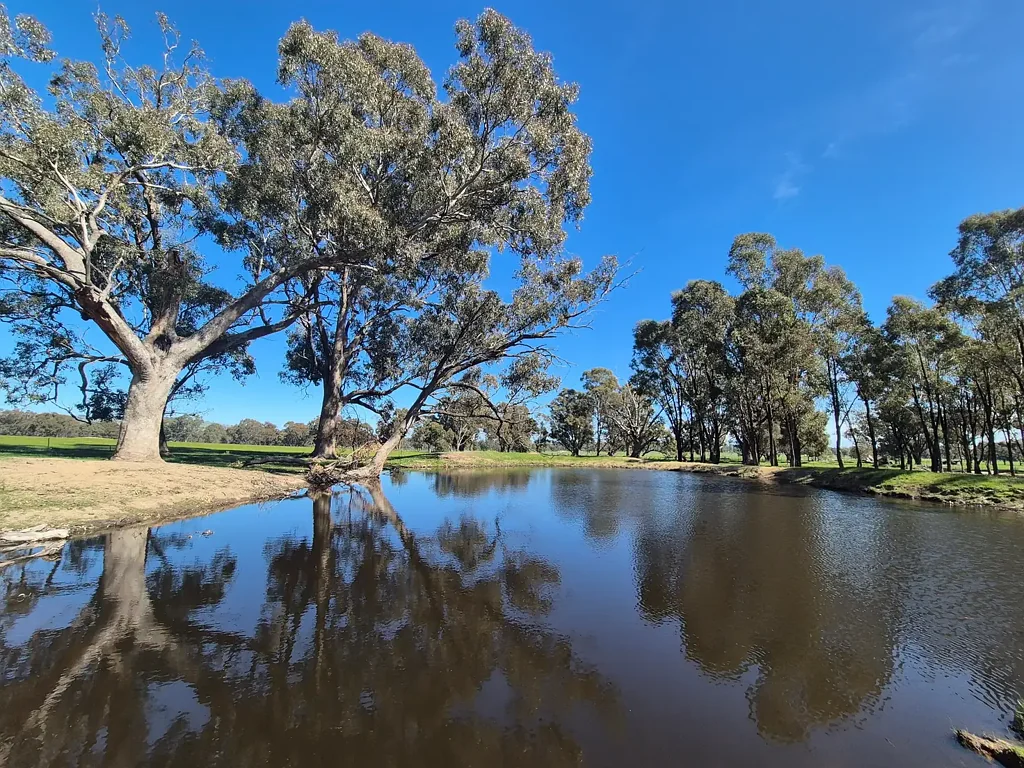 Lot 1 10 Dunnings Road, Balmattum, VIC 3666