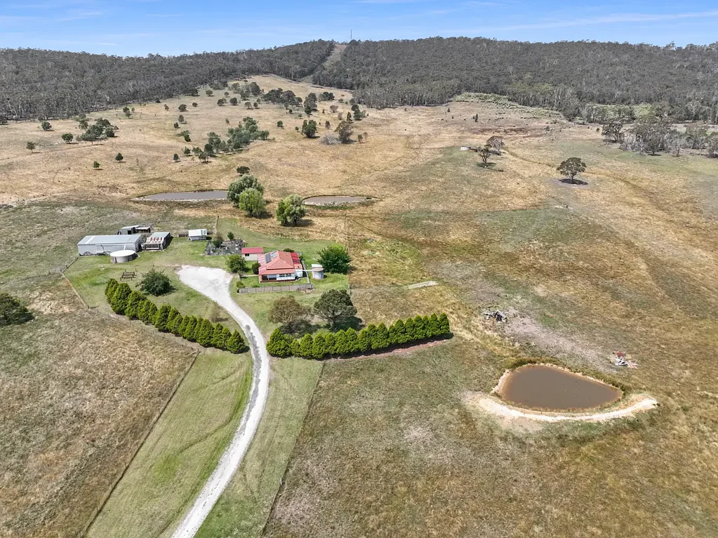 309 Bucky Springs Road, Bombala, NSW 2632