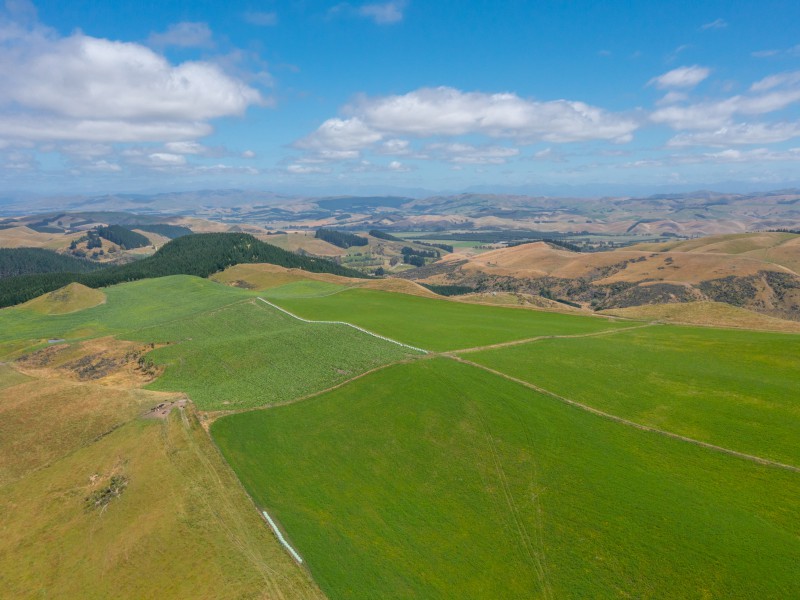 324 Reeces Road, Waipara, Hurunui, 0房, 0浴