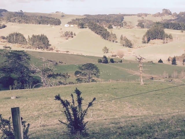 Waikoukou Valley Road, Waimauku, Auckland - Rodney, 0房, 0浴