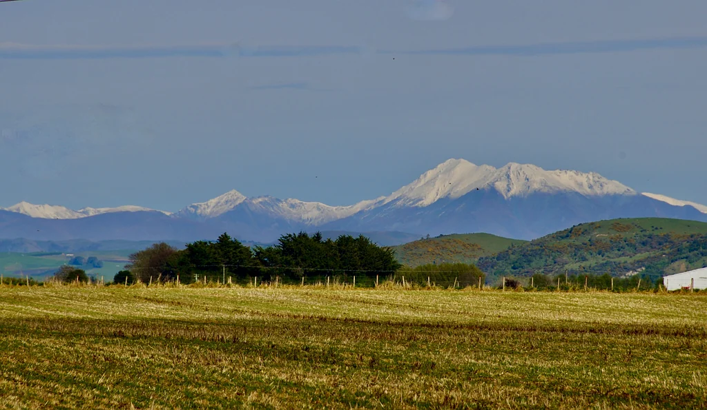 Waimate 6.2 ha Ready for Vision!