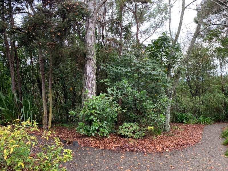 40 Aporo Road, Ruby Bay, Tasman, 2 rūma, 0 rūma horoi