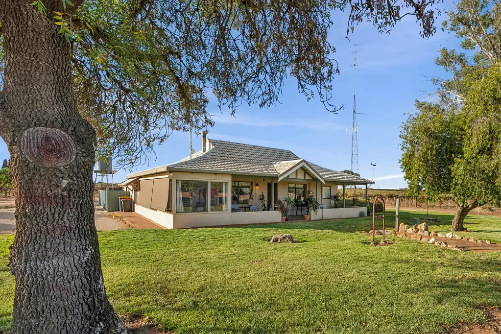 213 Old Sturt Highway, Barmera, SA 5345