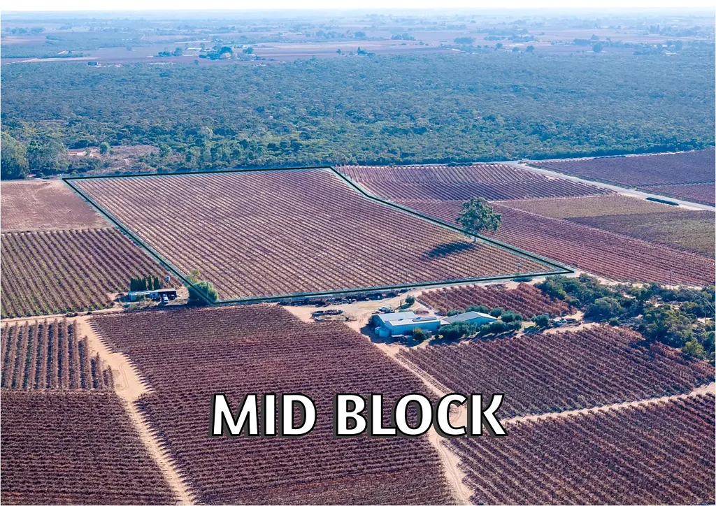 Lt 192 Puddletown Road, Winkie, SA 5343