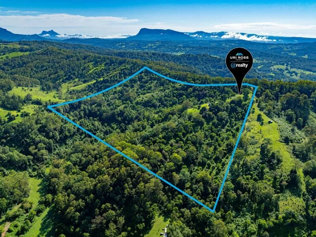 Cawongla Amaroo - King or Queen of The Hill