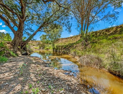 Lot 2, 1615 Mirannie Road, Singleton, NSW 2330, 0房, 0浴, Lifestyle Property
