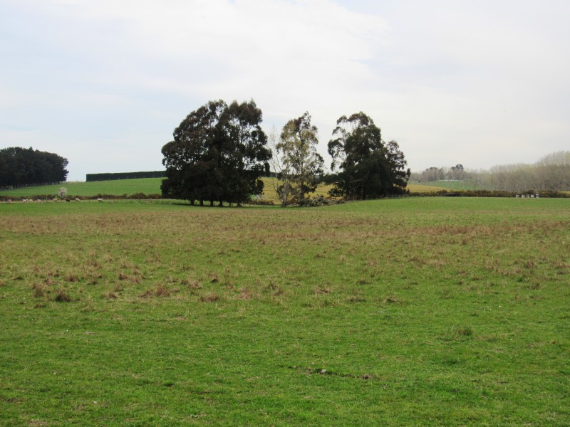 Rosewill Valley Road, Rosewill, Timaru, 0 rūma, 1 rūma horoi