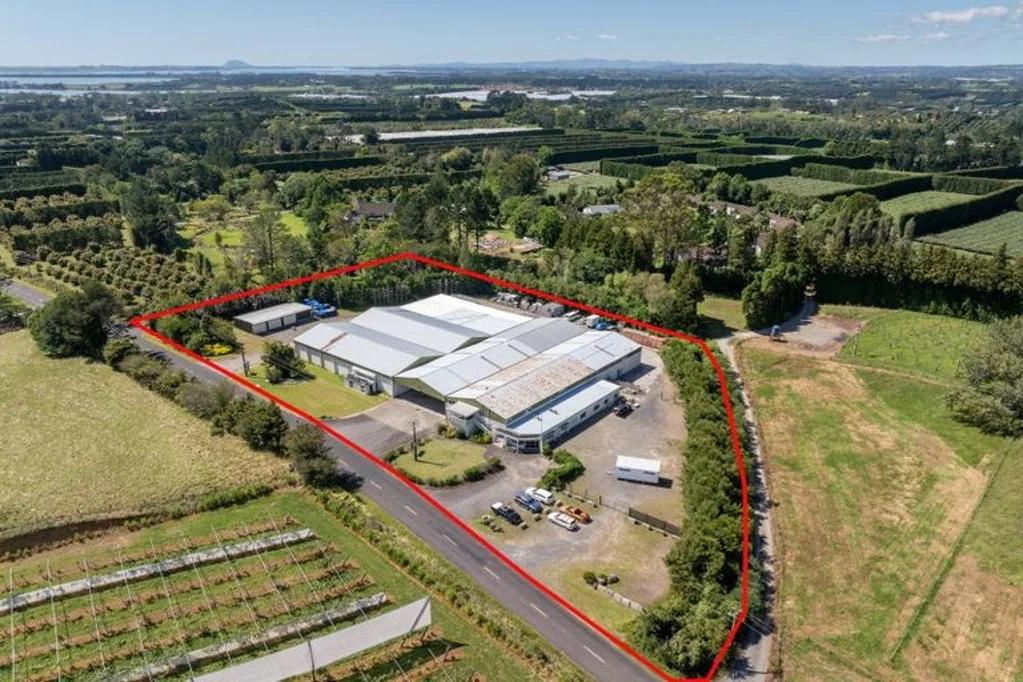 Katikati Long Term Tenant, Long Term Confidence