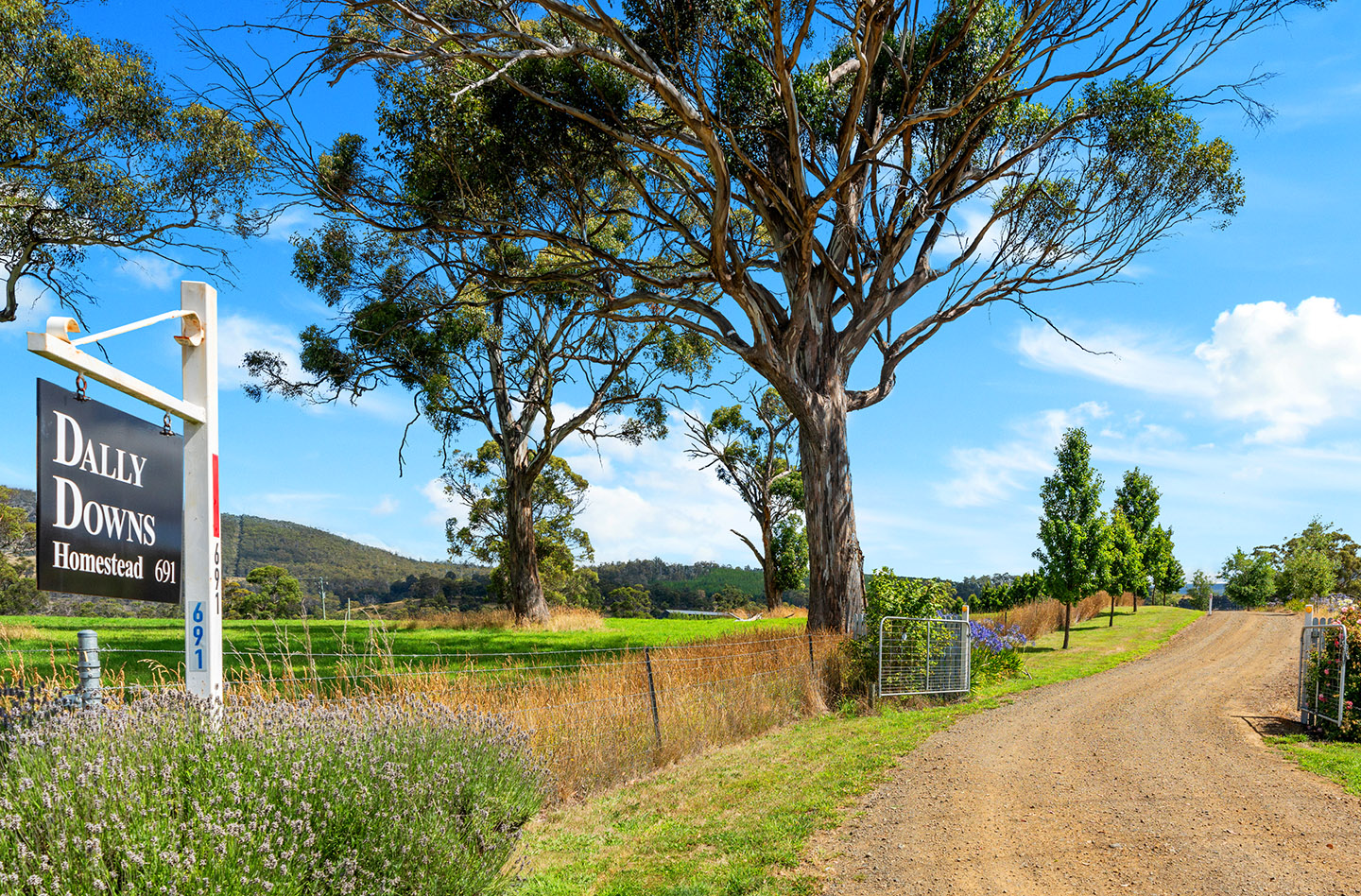 691 ELLENDALE RD, ELLENDALE TAS 7140, 0 Kuwarto, 0 Banyo, Lifestyle Property