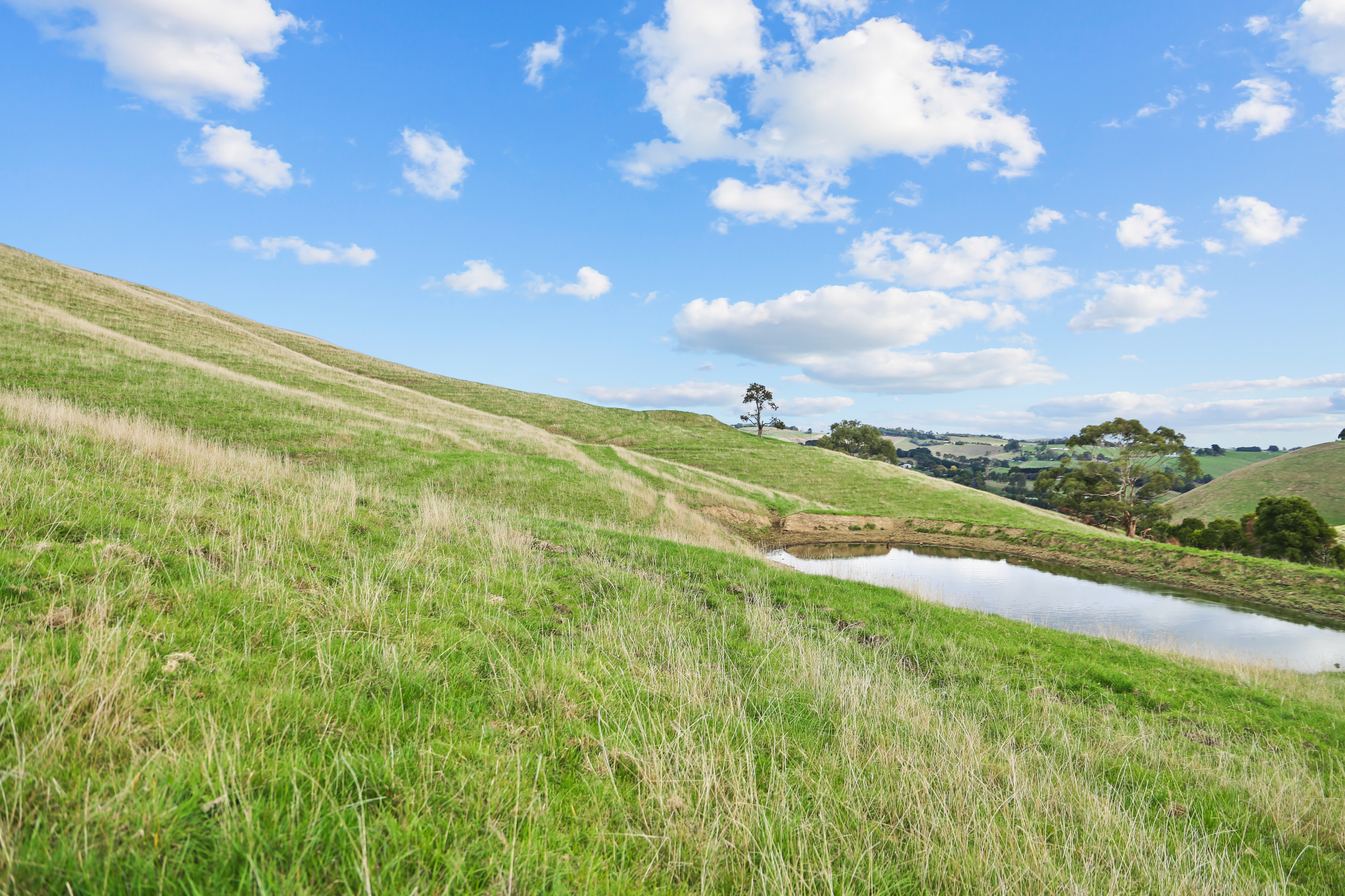 389 ANDERSONS INLET RD, BENA VIC 3946, 0 રૂમ, 0 બાથરૂમ, Lifestyle Property