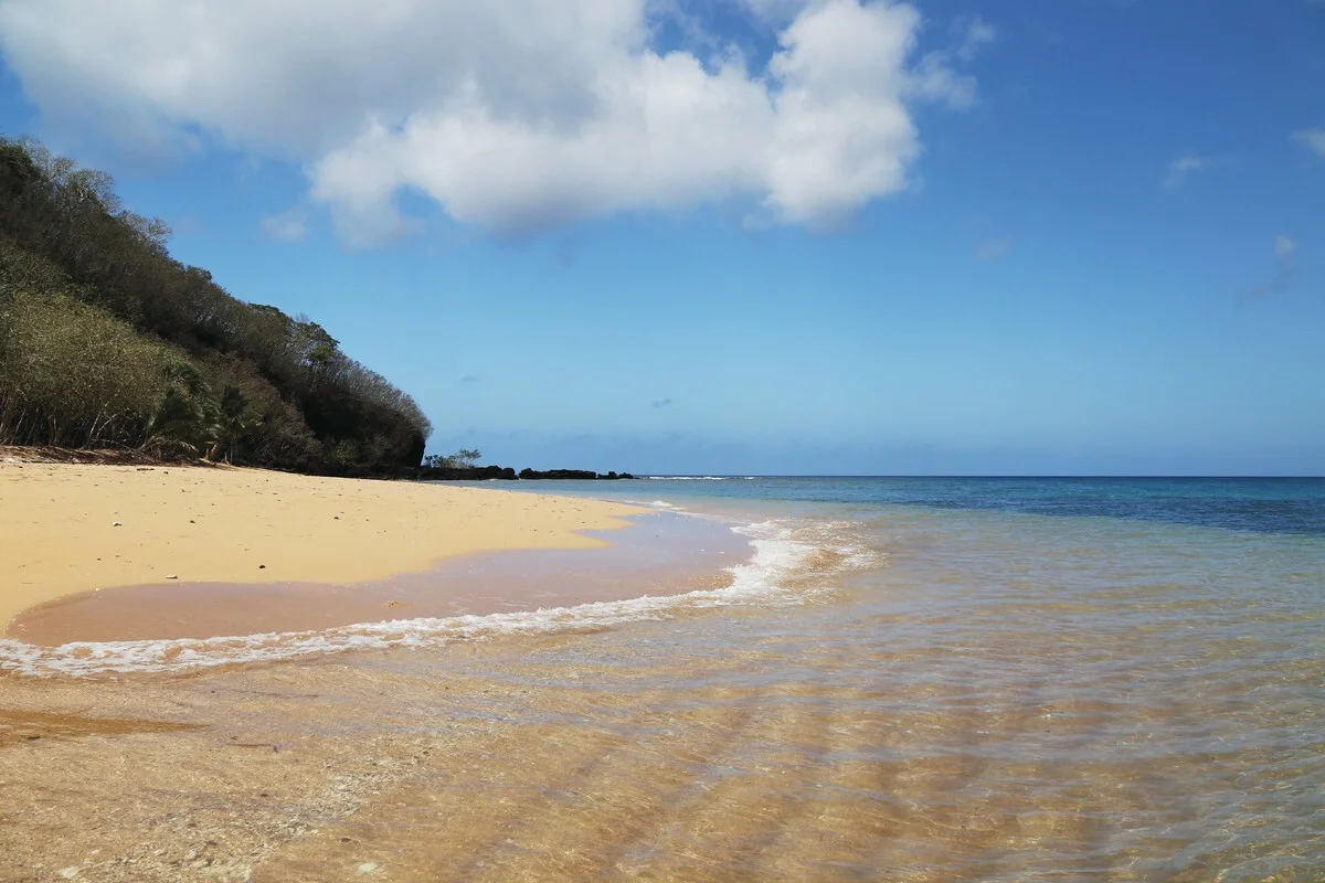 Matana Plantation, Koro Island, Fiji, 0 રૂમ, 0 બાથરૂમ, Commercial Land