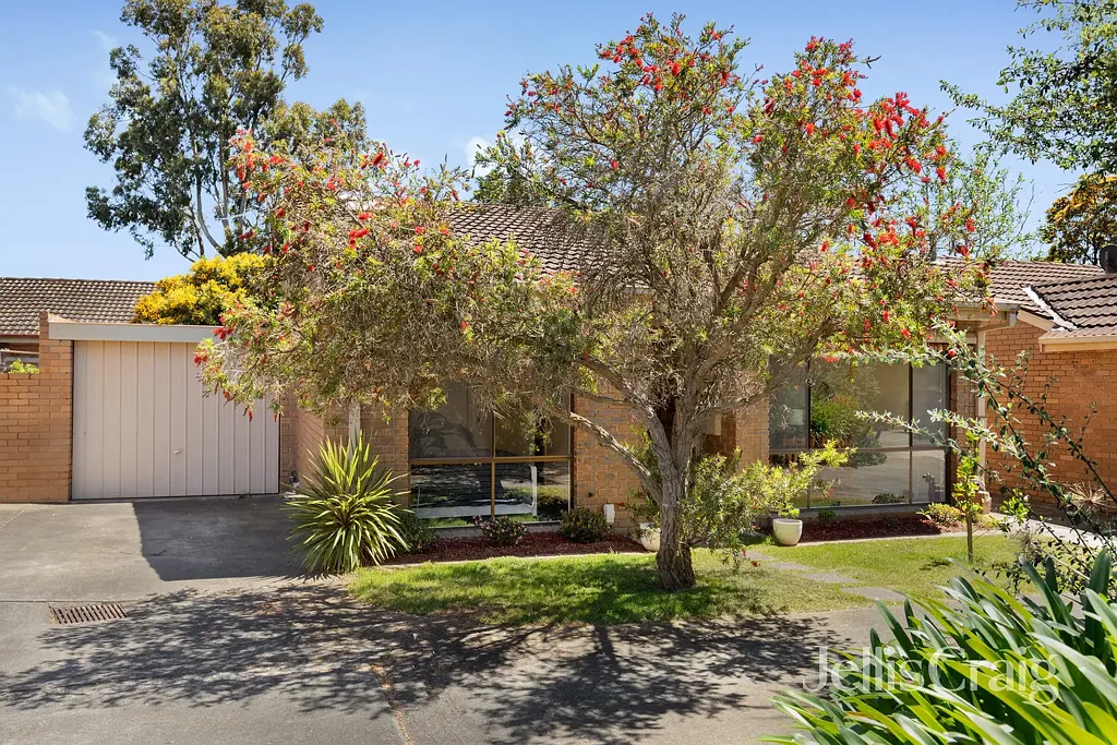 Light-Filled Living in a Leafy Greensborough Pocket