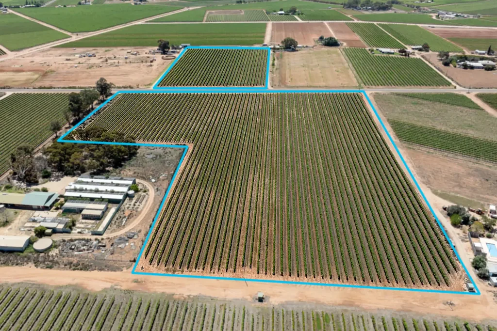 Barmera  Looking to expand your vineyard portfolio?