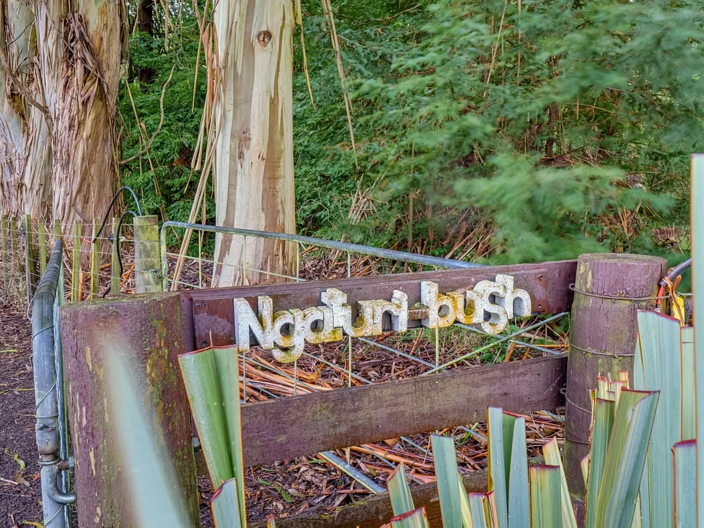 Pahiatua 4房  "Ngaturi Bush" Rural Privacy & Family Living
