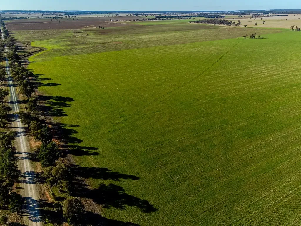 West Wyalong Strathaven - 687.5 Hz - 1700 Acres
