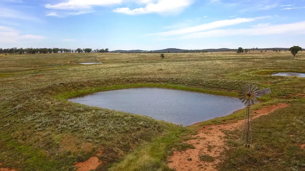 Tullamore  A mixed farming haven - cropping & livestock