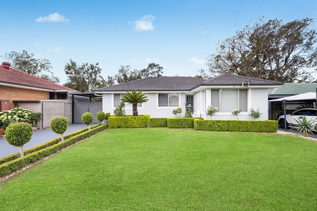 Canley Heights 3房 宽敞506平地块 临街15米面宽 现代厨房电磁炉 带顶户外娱乐区 双车库侧通道 近学校商圈 MODERN HAVEN FOR GROWING FAMILIES!