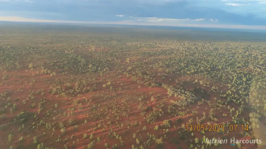 Cobar RYANDALE