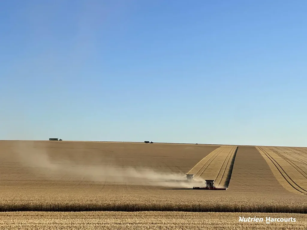 Arrino  Lease - Significant scale & cropping efficiency in the heart of the Mid West