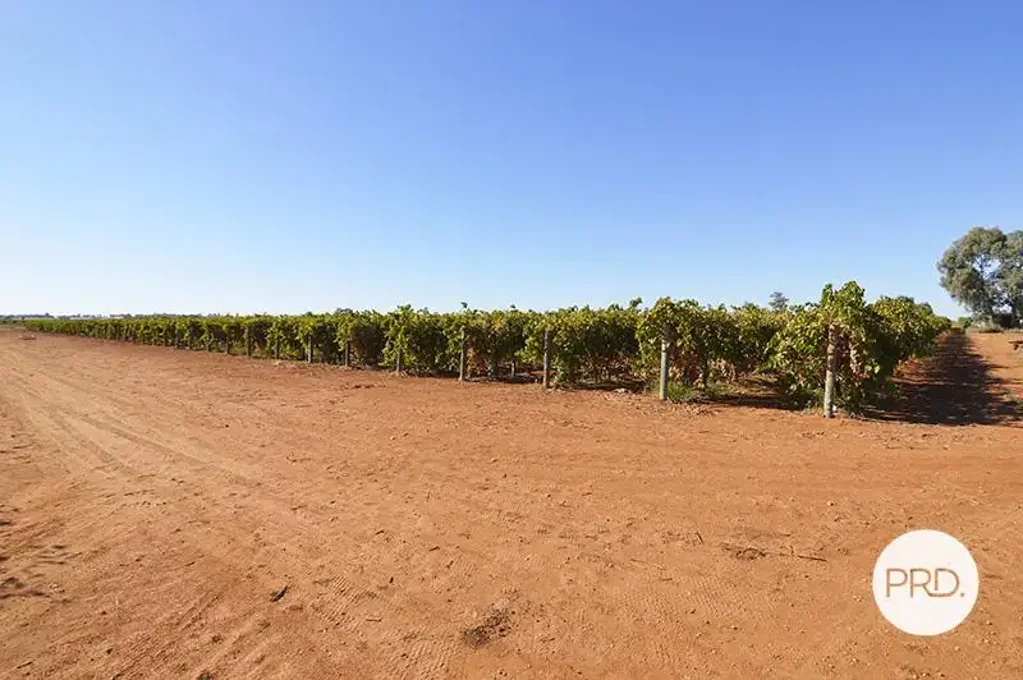 Lot 2, 357 Paschendale Avenue, Merbein, VIC 3505