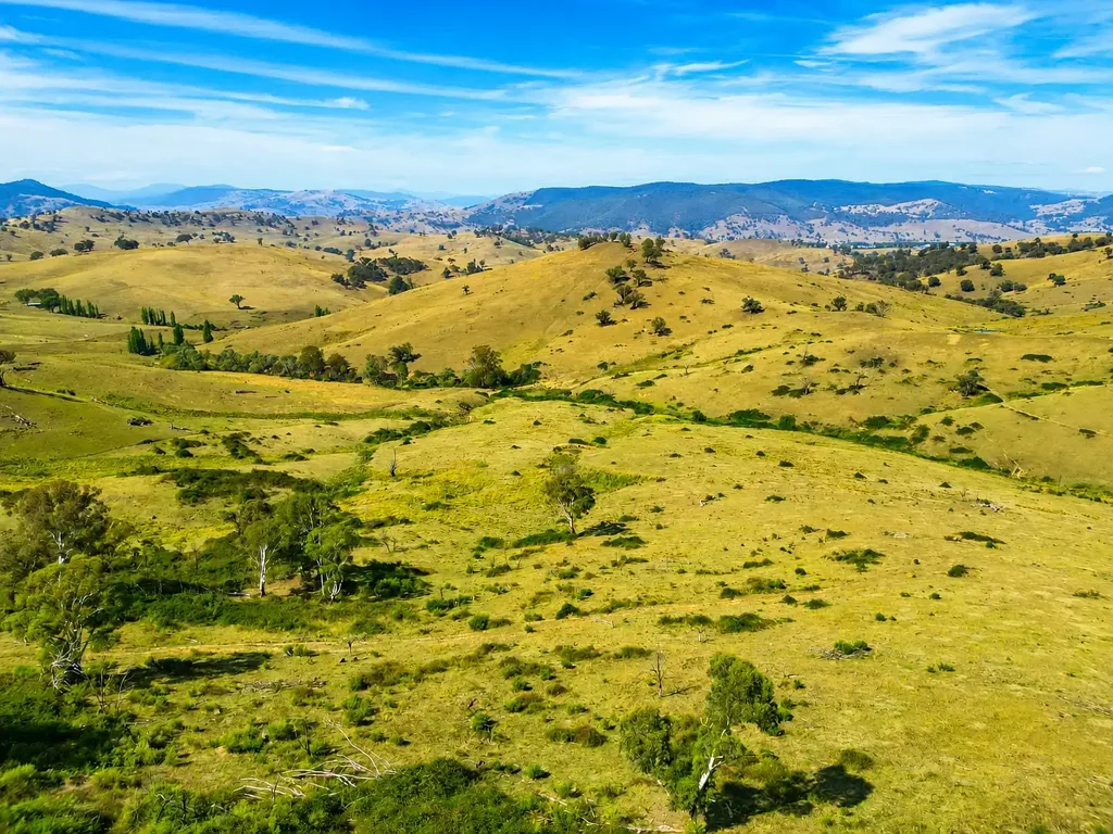 Jarvis Creek Opportunity knocks, genuine lifestyle/recreation block