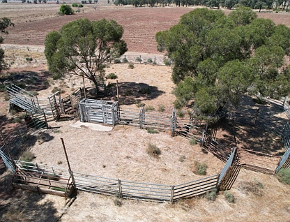 13166 Newell Highway, West Wyalong, Riverina, 0 Bedrooms, 0 Bathrooms, Lifestyle Property