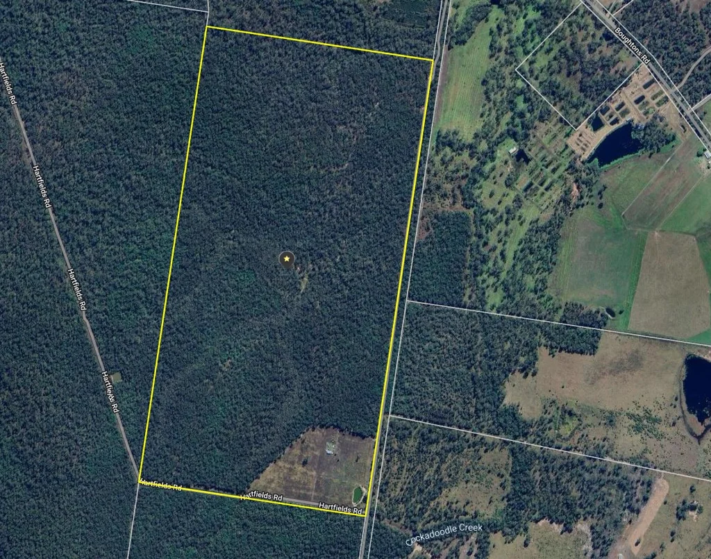 385 Boughtons Road, Bucca, QLD 4670