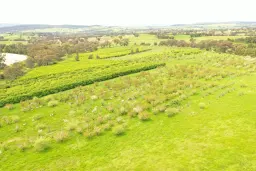 Proposed Lot 1 Apps Lane, Young