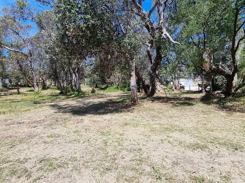 Golden Beach Lightly Treed 600 Square Meter Block - Your Dream Coastal Oasis!
