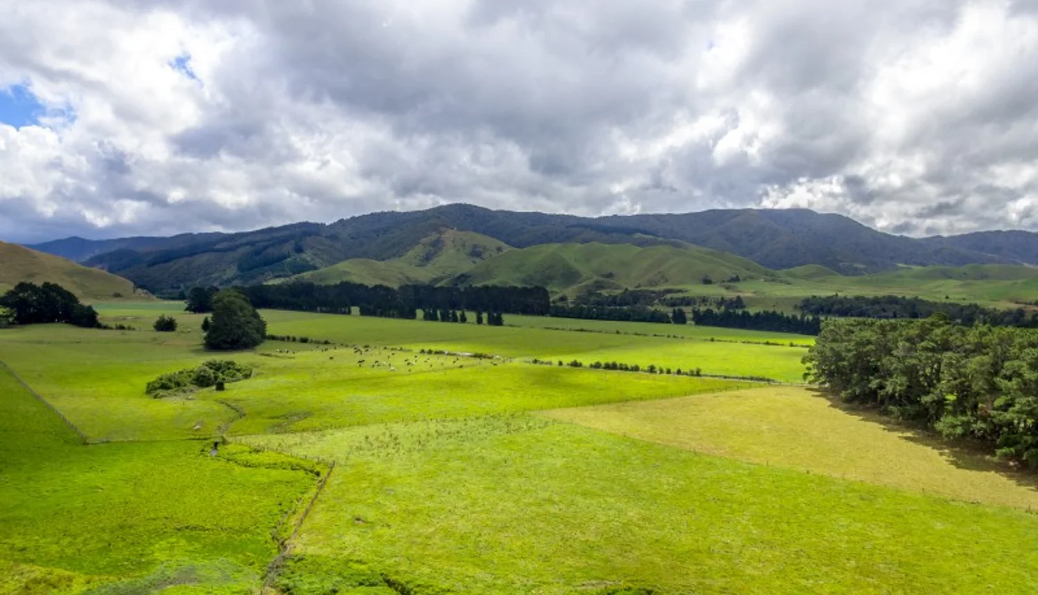85274 State Highway 2, Eketahuna, Tararua, 0房, 0浴