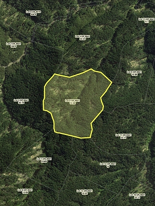 Lot 5 Shanks Road, Waingake