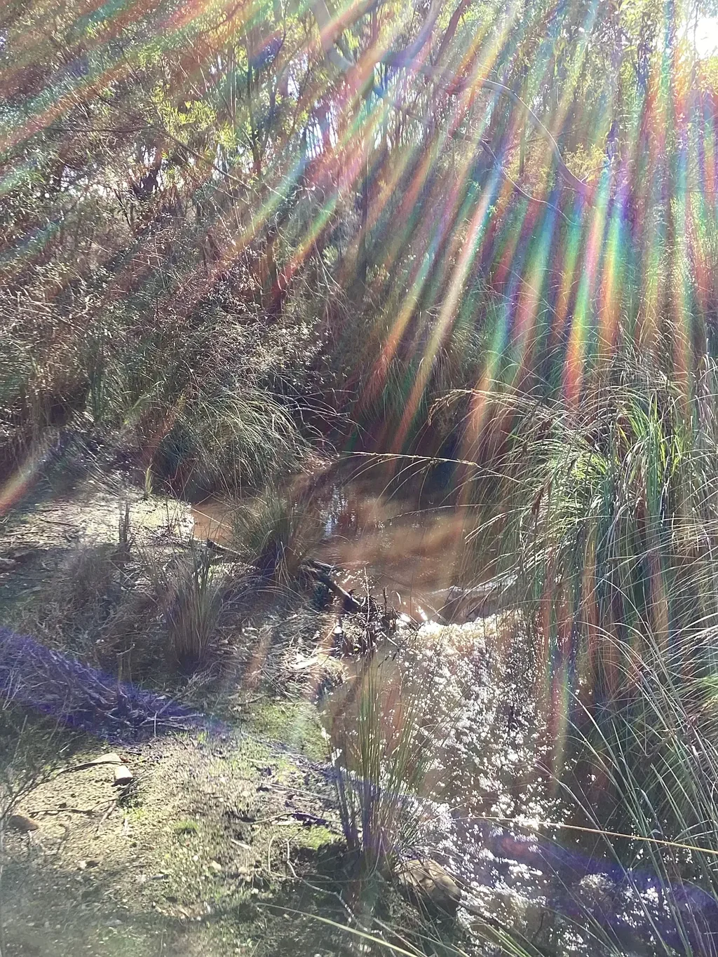 Newland Wilderness Hideaway – Kangaroo Island