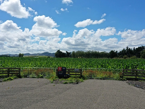 Pahiatua  Your rural oasis